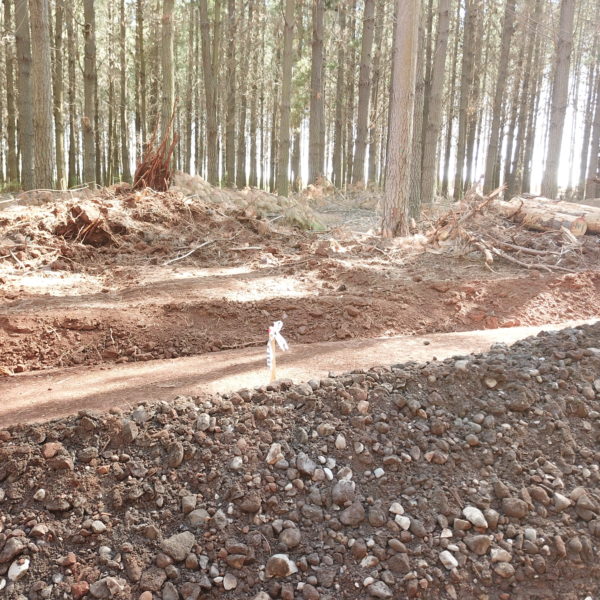 road construction in a forest