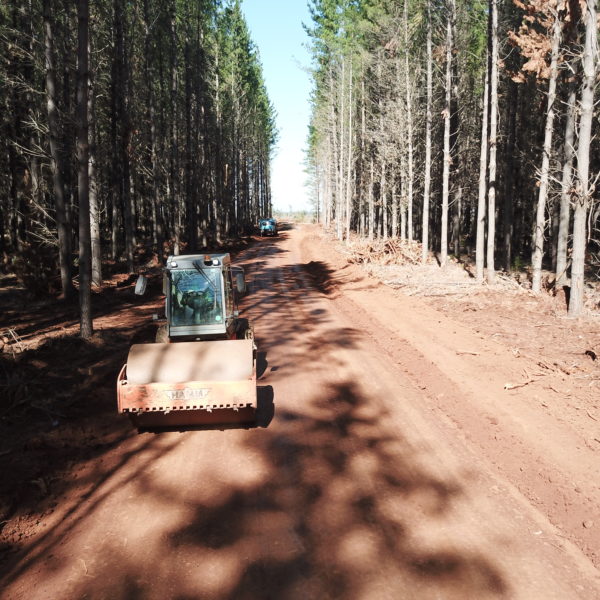 road flattening operation